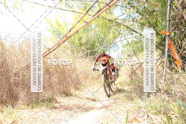 Buy your photos of the eventCampeonato Mineiro SENSE de Maratona - MTB on Fotop