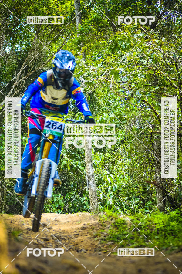 Buy your photos of the eventMeeting Primavera de Downhill on Fotop