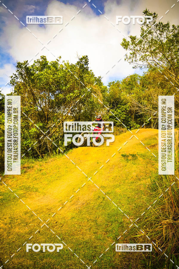 Buy your photos of the eventMeeting Primavera de Downhill on Fotop