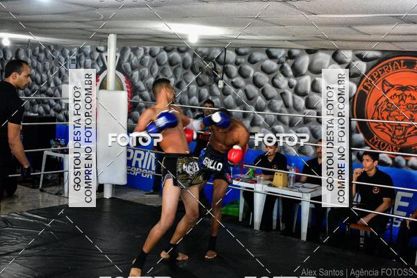 Buy your photos of the eventWarriors of Muay Thai on Fotop