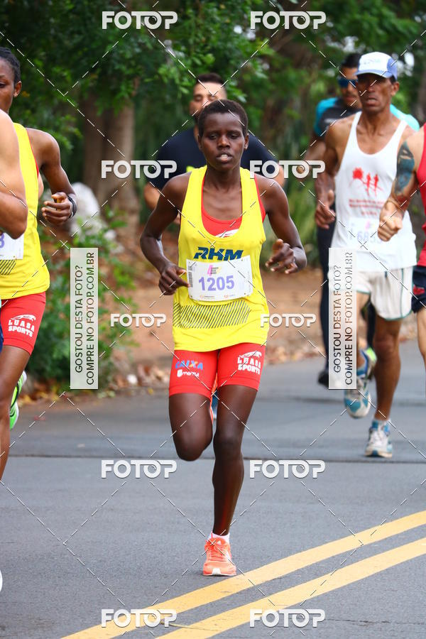 Buy your photos of the eventCorrida e Caminhada Pague Menos - Americana/SP on Fotop