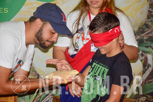 Buy your photos of the eventNR1 - English & Action  19 a 21/09/18 on Fotop