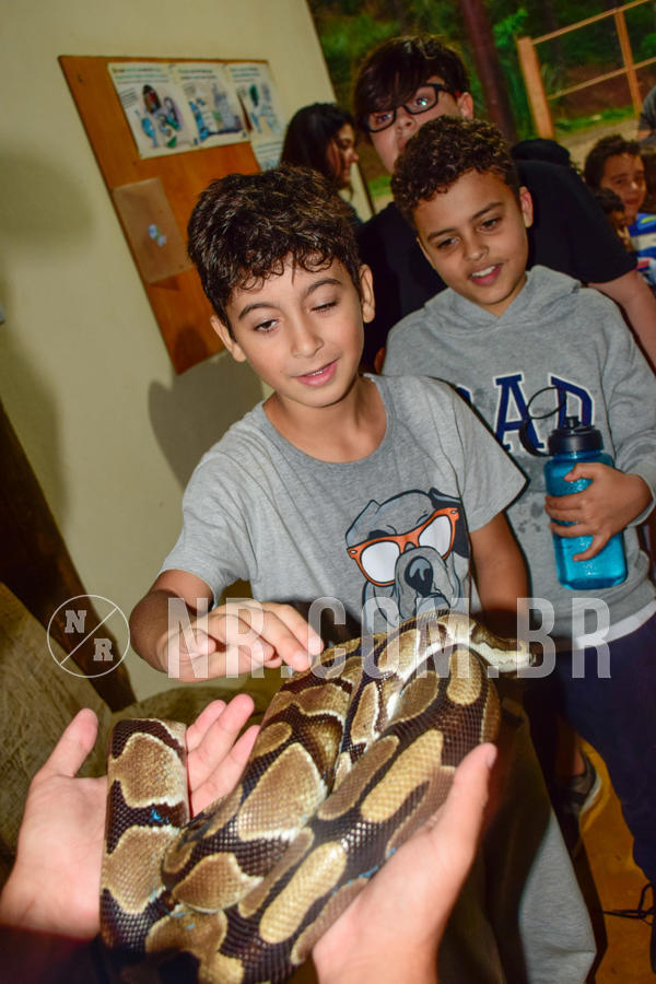 Buy your photos of the eventNR1 - English & Action  19 a 21/09/18 on Fotop