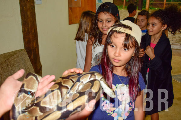 Buy your photos of the eventNR1 - English & Action  19 a 21/09/18 on Fotop