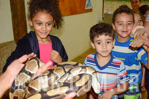 Buy your photos of the eventNR1 - English & Action  19 a 21/09/18 on Fotop