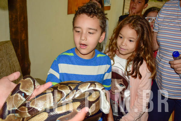 Buy your photos of the eventNR1 - English & Action  19 a 21/09/18 on Fotop