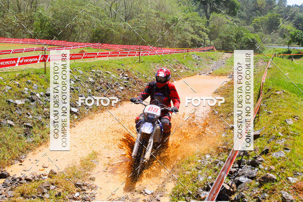 Buy your photos of the eventCopa EFX Brasil  on Fotop