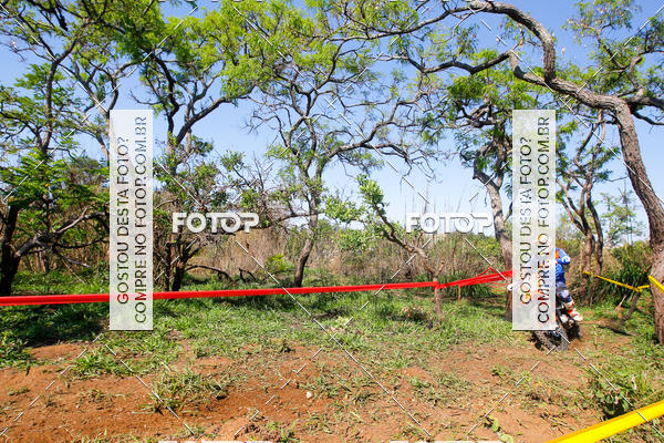 Buy your photos of the eventCopa EFX Brasil  on Fotop