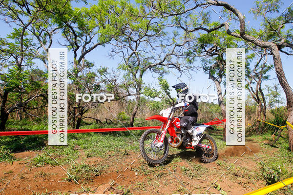 Buy your photos of the eventCopa EFX Brasil  on Fotop