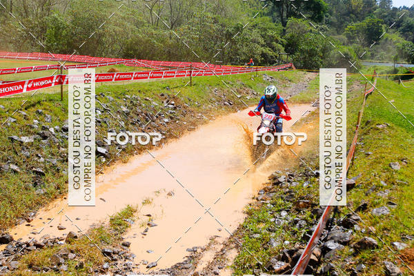 Buy your photos of the eventCopa EFX Brasil  on Fotop