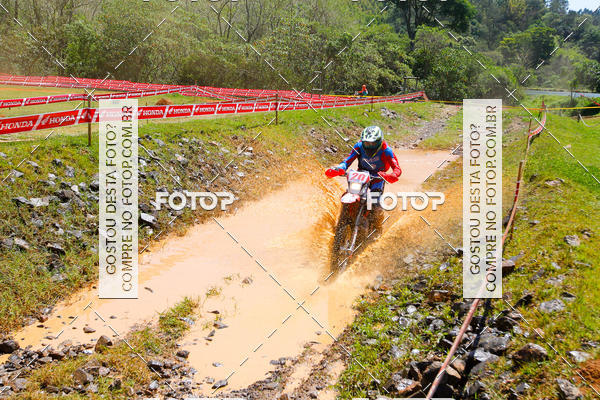 Buy your photos of the eventCopa EFX Brasil  on Fotop