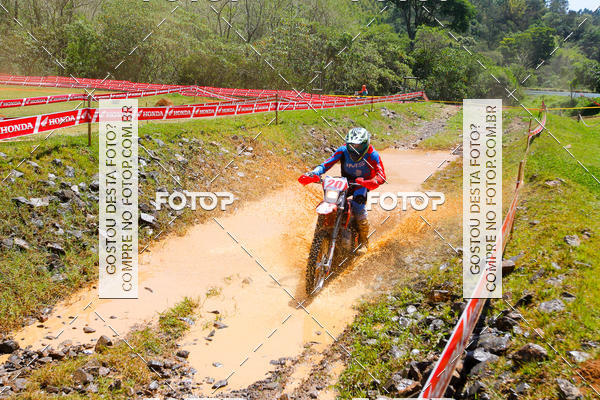 Buy your photos of the eventCopa EFX Brasil  on Fotop