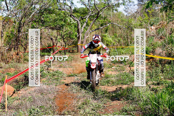 Buy your photos of the eventCopa EFX Brasil  on Fotop