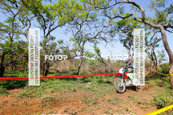 Buy your photos of the eventCopa EFX Brasil  on Fotop