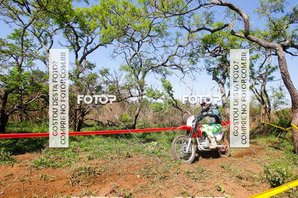 Buy your photos of the eventCopa EFX Brasil  on Fotop