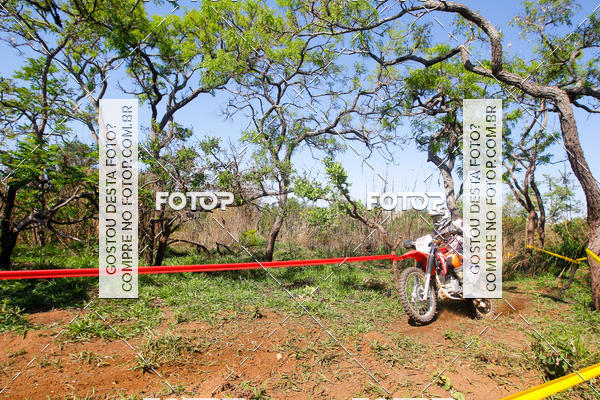 Buy your photos of the eventCopa EFX Brasil  on Fotop