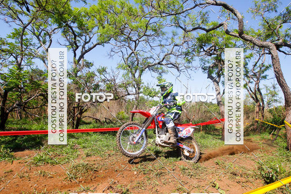 Buy your photos of the eventCopa EFX Brasil  on Fotop