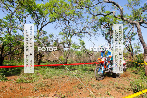 Buy your photos of the eventCopa EFX Brasil  on Fotop