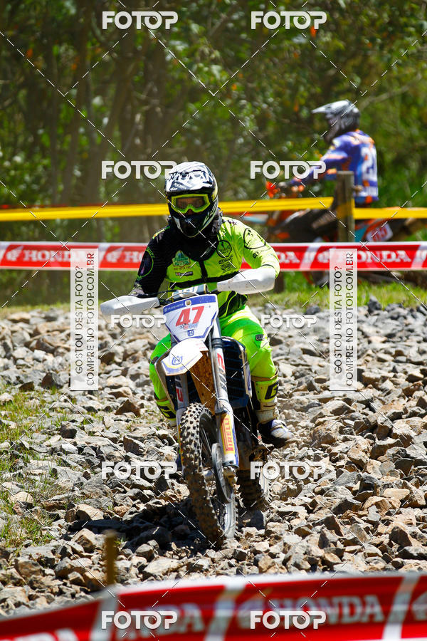 Buy your photos of the eventCopa EFX Brasil  on Fotop