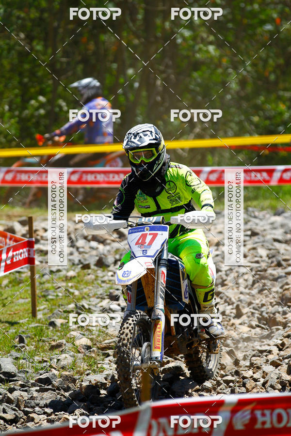 Buy your photos of the eventCopa EFX Brasil  on Fotop