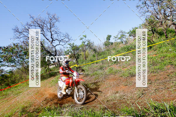 Buy your photos of the eventCopa EFX Brasil  on Fotop