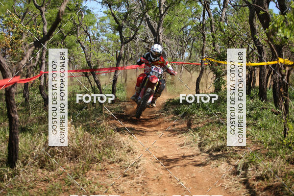 Buy your photos of the eventCopa EFX Brasil  on Fotop