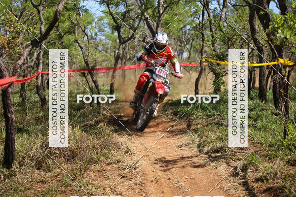 Buy your photos of the eventCopa EFX Brasil  on Fotop