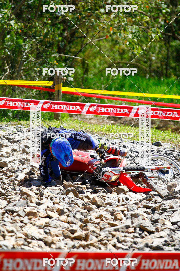 Buy your photos of the eventCopa EFX Brasil  on Fotop