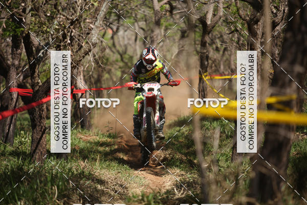 Buy your photos of the eventCopa EFX Brasil  on Fotop