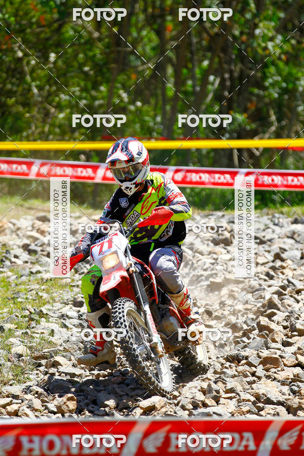 Buy your photos of the eventCopa EFX Brasil  on Fotop