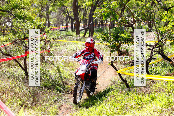 Buy your photos of the eventCopa EFX Brasil  on Fotop