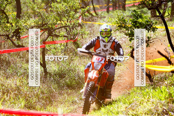 Buy your photos of the eventCopa EFX Brasil  on Fotop