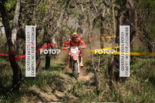 Buy your photos of the eventCopa EFX Brasil  on Fotop