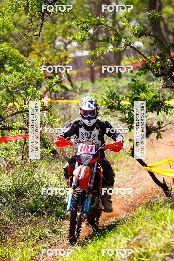 Buy your photos of the eventCopa EFX Brasil  on Fotop