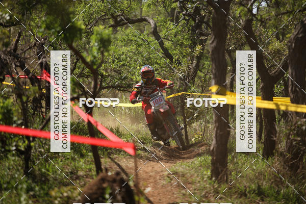 Buy your photos of the eventCopa EFX Brasil  on Fotop