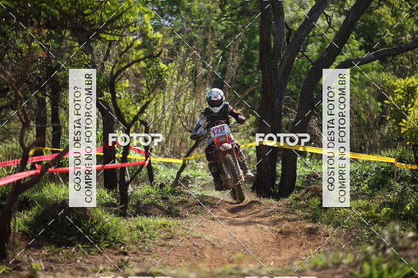 Buy your photos of the eventCopa EFX Brasil  on Fotop