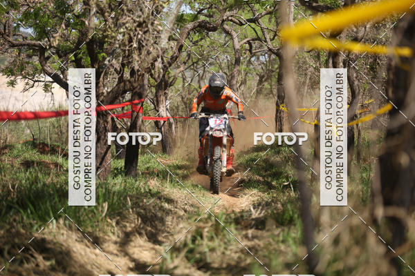 Buy your photos of the eventCopa EFX Brasil  on Fotop