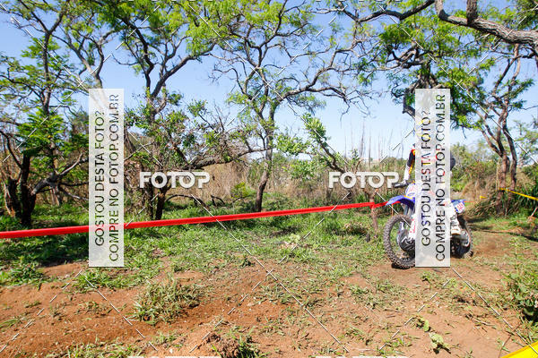 Buy your photos of the eventCopa EFX Brasil  on Fotop