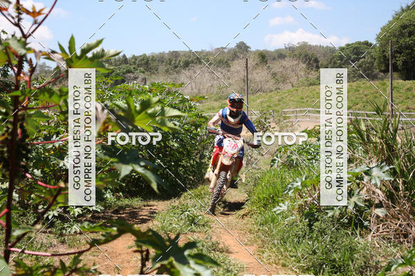Buy your photos of the eventCopa EFX Brasil  on Fotop
