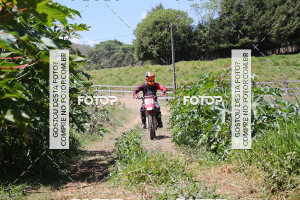 Buy your photos of the eventCopa EFX Brasil  on Fotop