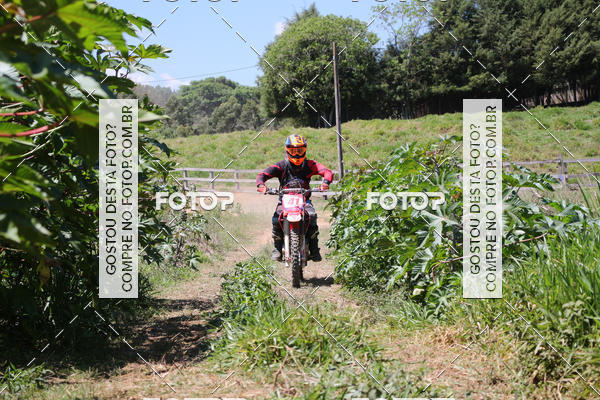 Buy your photos of the eventCopa EFX Brasil  on Fotop