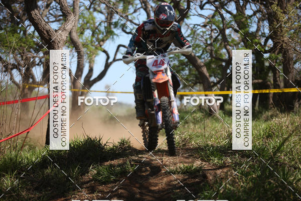 Buy your photos of the eventCopa EFX Brasil  on Fotop
