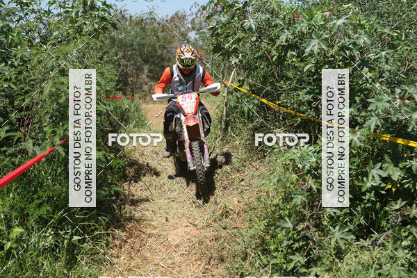 Buy your photos of the eventCopa EFX Brasil  on Fotop