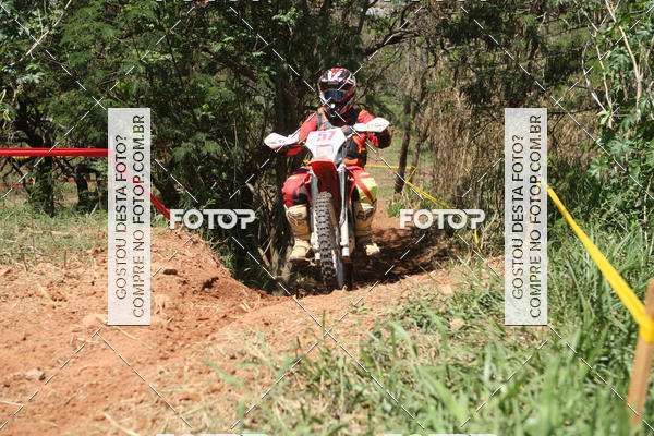 Buy your photos of the eventCopa EFX Brasil  on Fotop