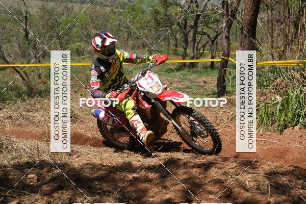 Buy your photos of the eventCopa EFX Brasil  on Fotop