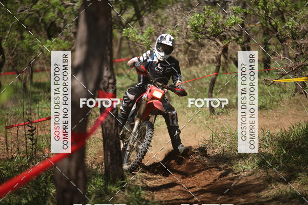 Buy your photos of the eventCopa EFX Brasil  on Fotop