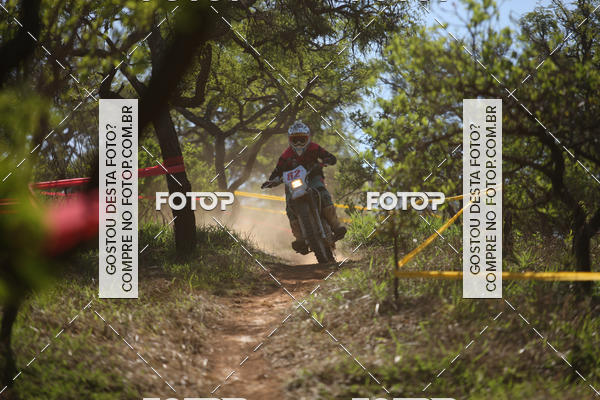 Buy your photos of the eventCopa EFX Brasil  on Fotop