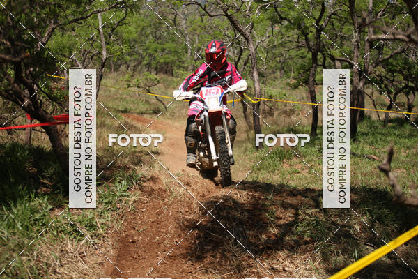 Buy your photos of the eventCopa EFX Brasil  on Fotop