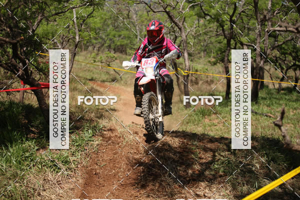 Buy your photos of the eventCopa EFX Brasil  on Fotop