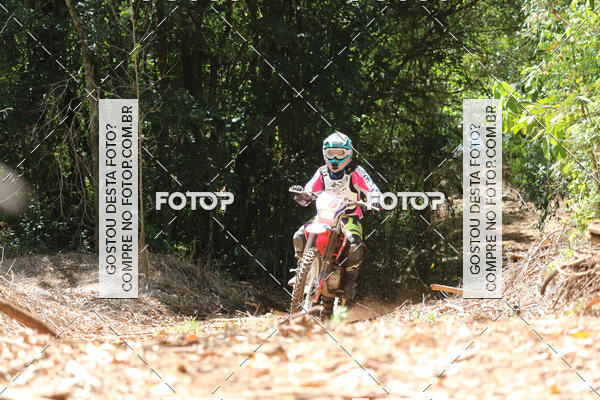 Buy your photos of the eventCopa EFX Brasil  on Fotop